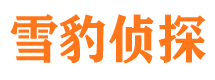 来安市侦探调查公司